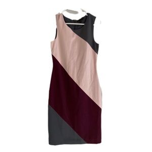 Banana Republic Pink and Burgundy Midi Dress